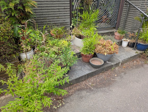 土回収ビフォー高槻市