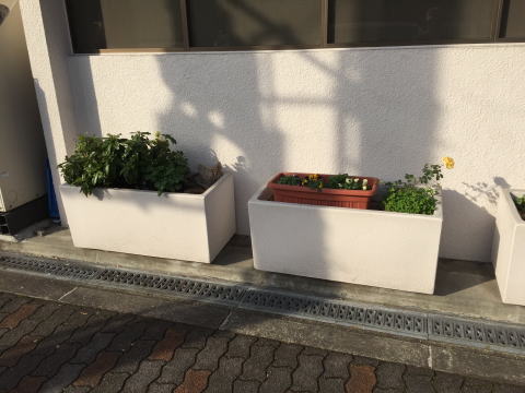 花壇