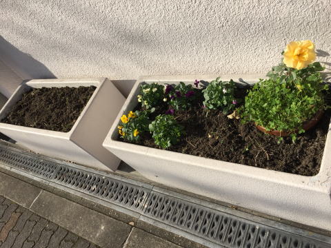 花壇